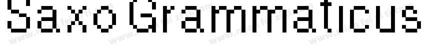 Saxo Grammaticus Reg字体转换